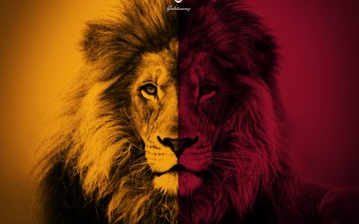 AOA电竞快讯-VAR房间到底有几个人