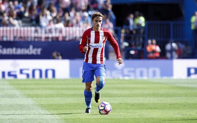 AOA电竞动态-科克和格列兹曼的化学反应绝了